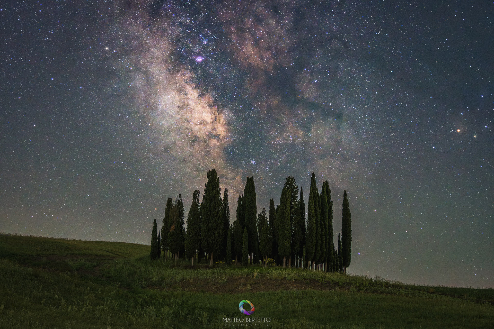 Cipressi
