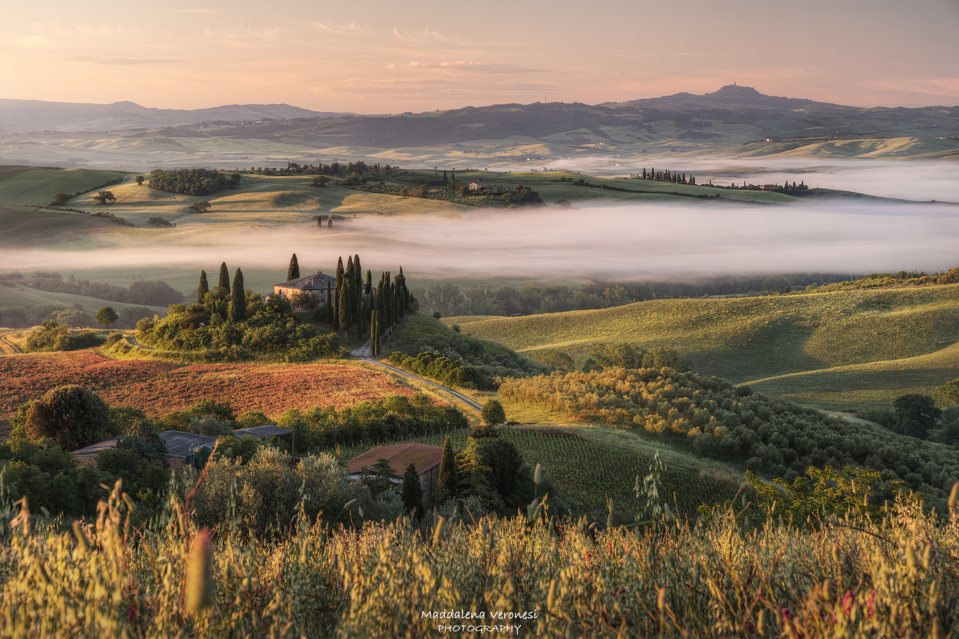 Podere Belvedere
